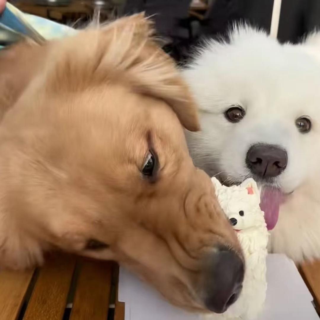 YU ︎ ︎ ︎ ︎ ︎ ︎ ︎