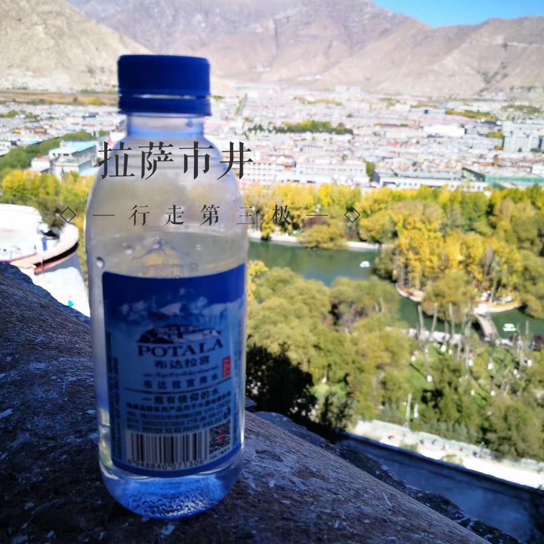 上山打老鼠