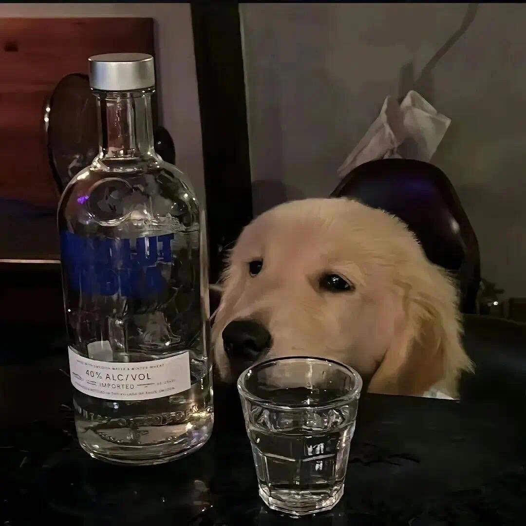 酒鬼充电果酒甄选