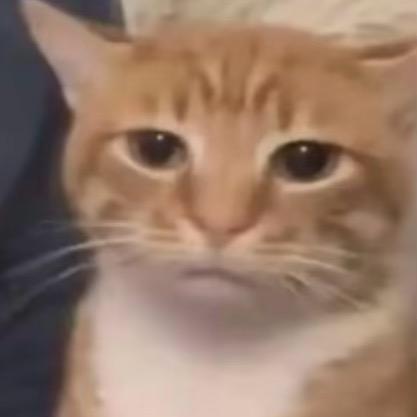 单一色srrri