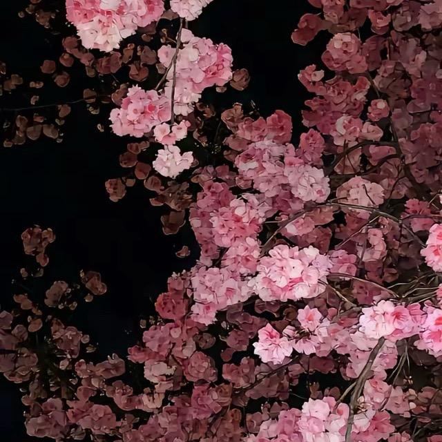 百川