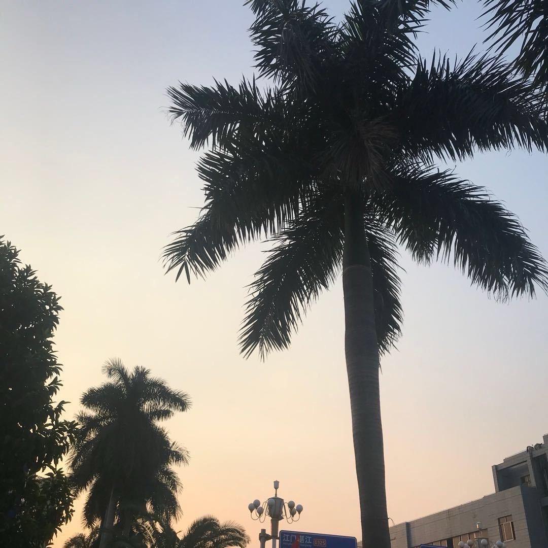 只为遇见她