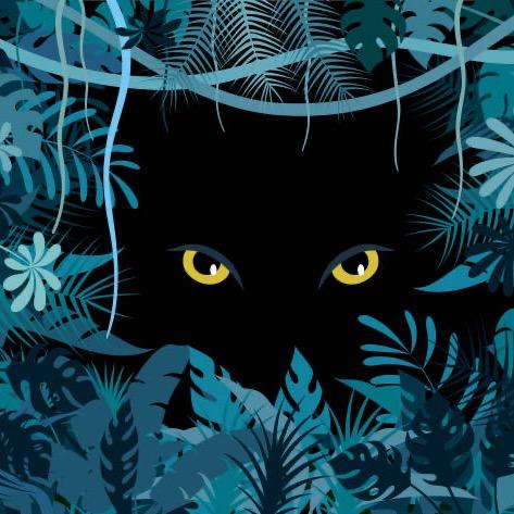 跑步机上走猫步