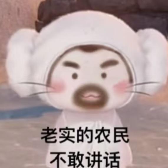 掉渣饼饼