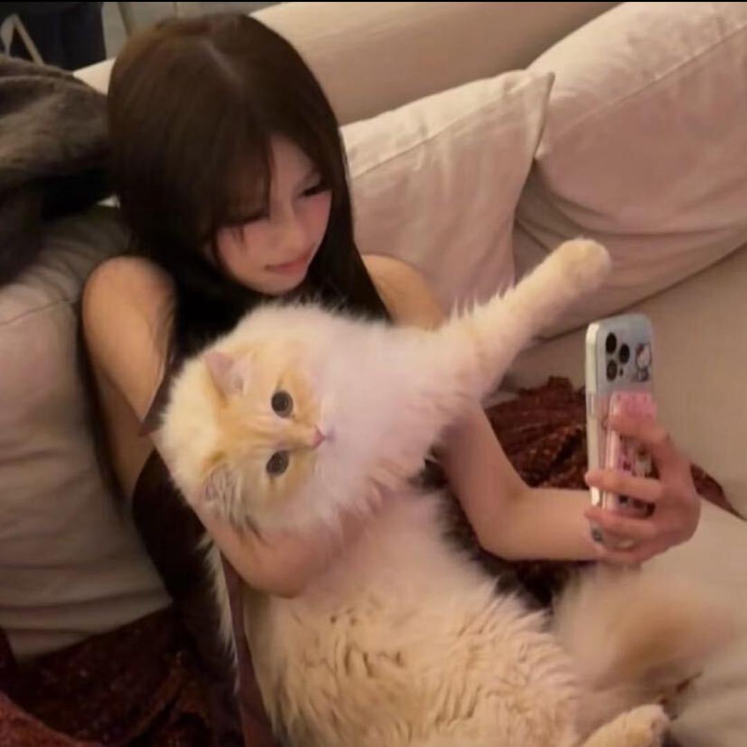 -茹茹