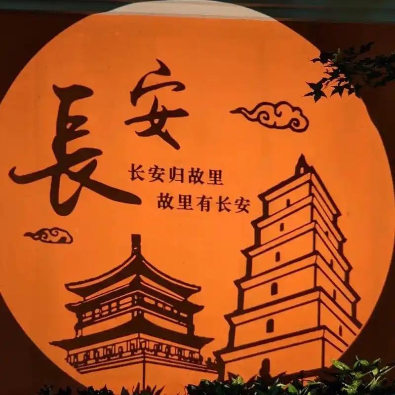 小豪说车-泰泽
