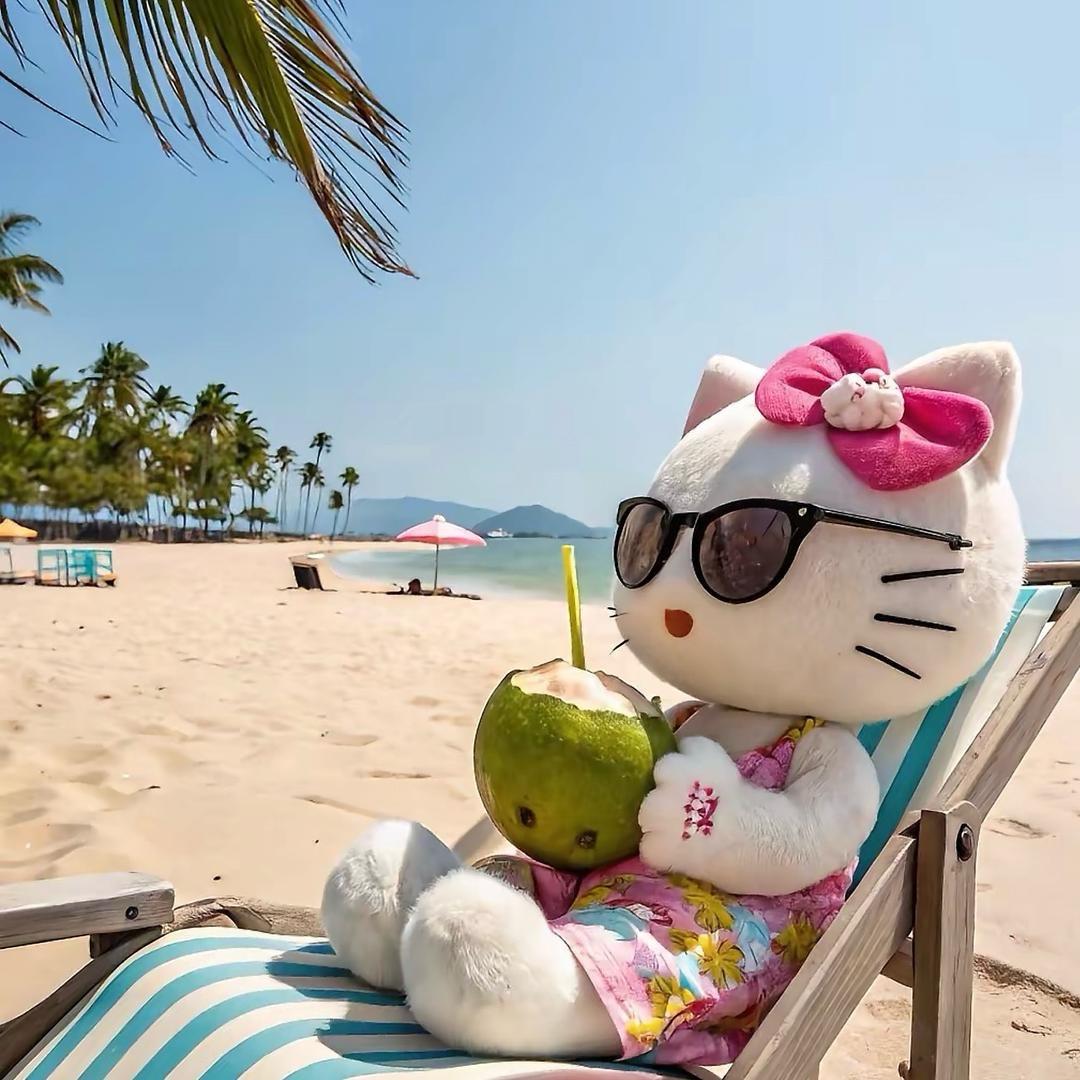 胖猫旅游路程馆