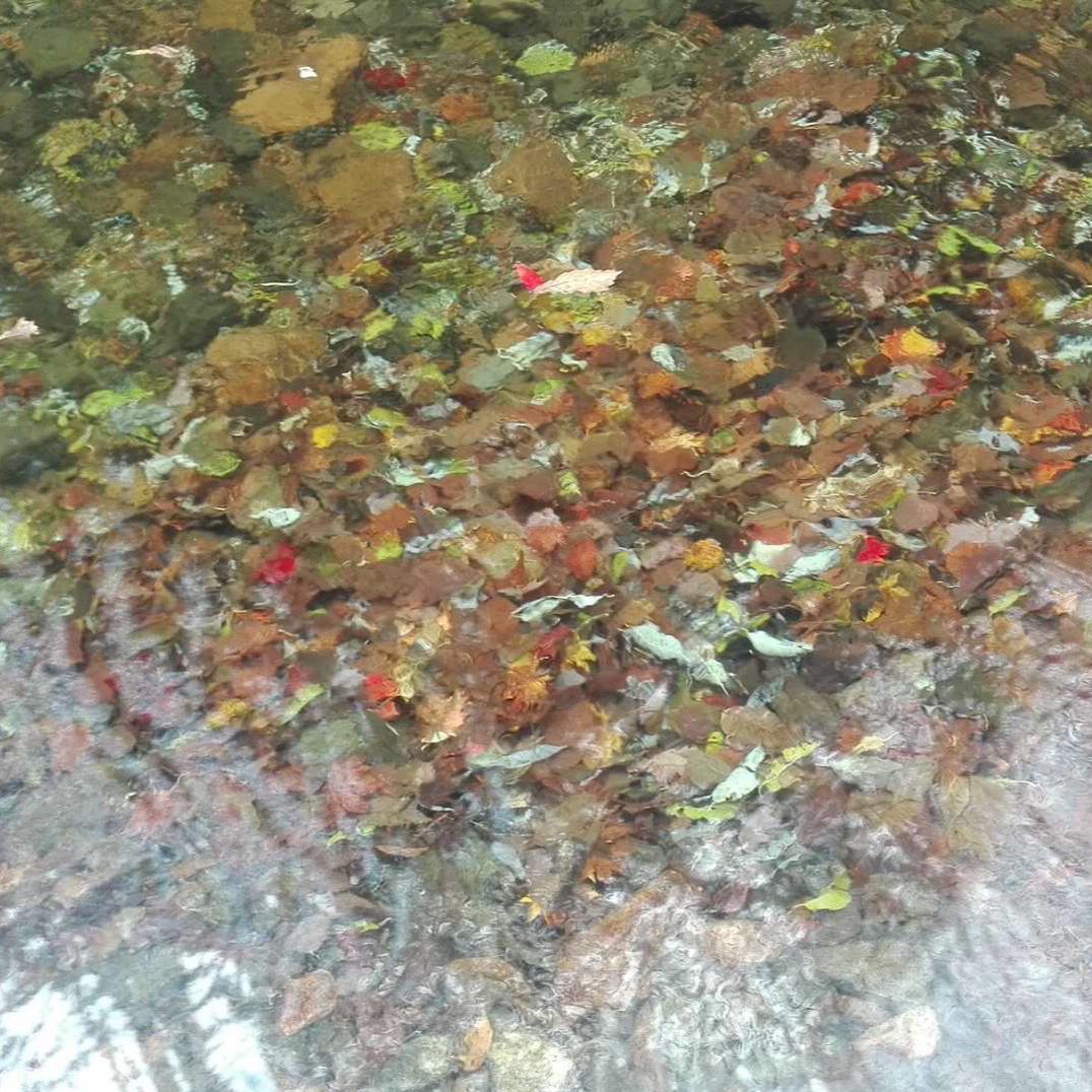 信保通