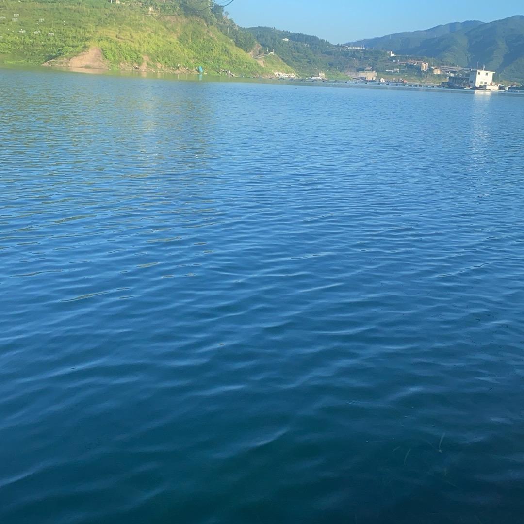 云阳县高阳镇泥鳅养殖