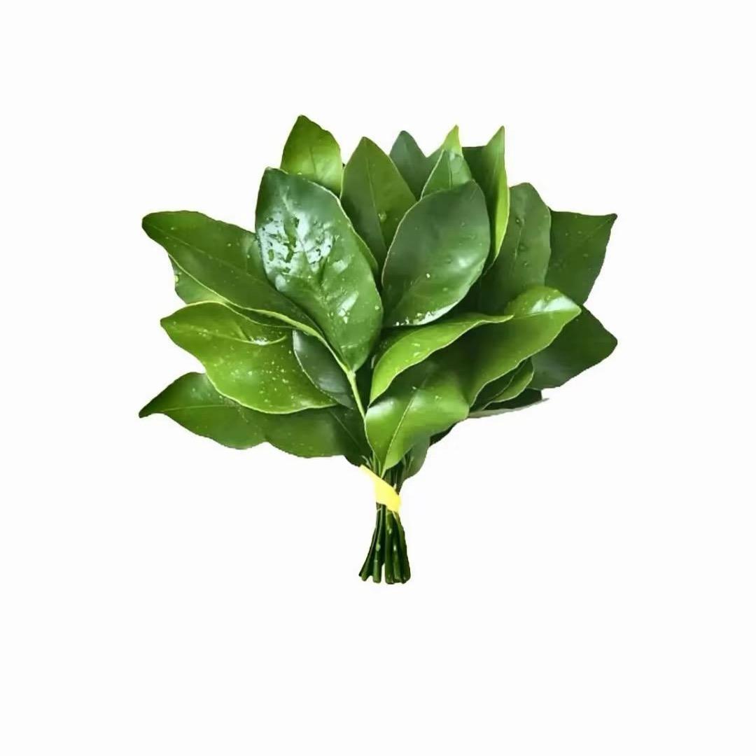 悲伤的猪大肠🫧