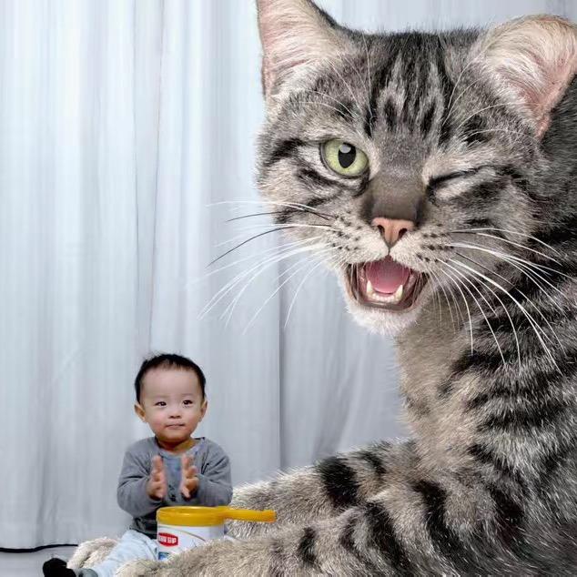 效效君