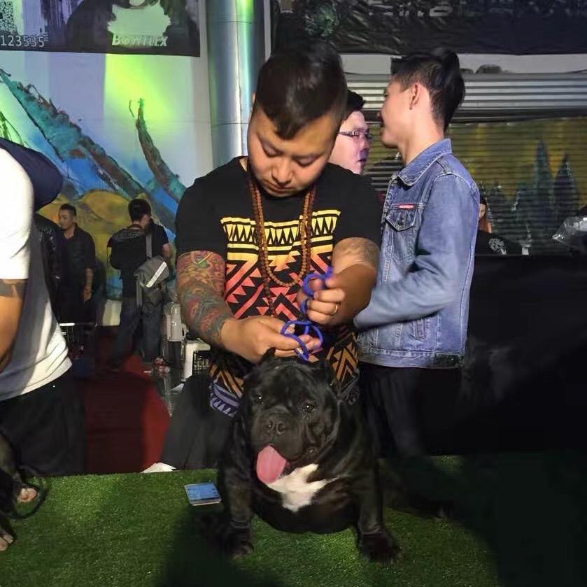 索罗的恶霸犬管理员