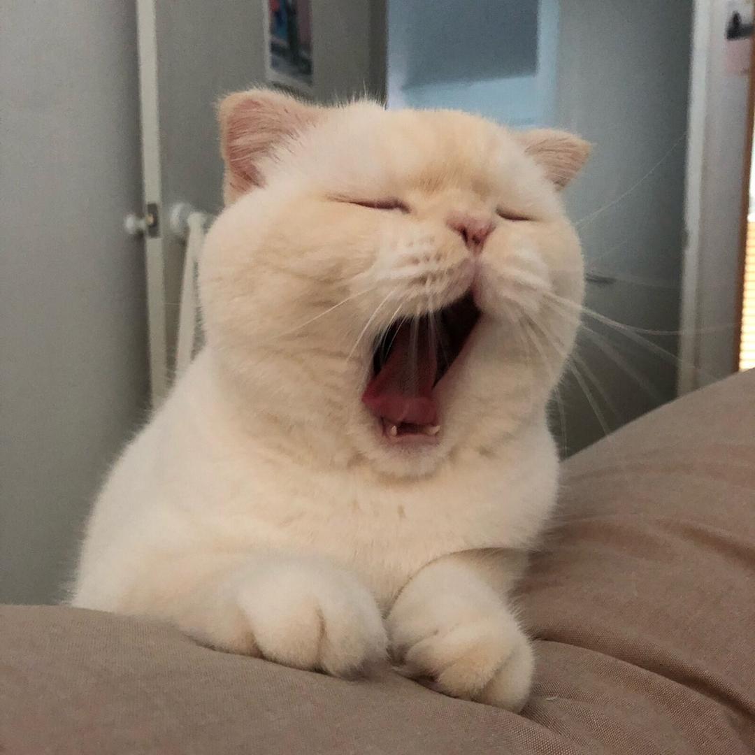 怪我喽