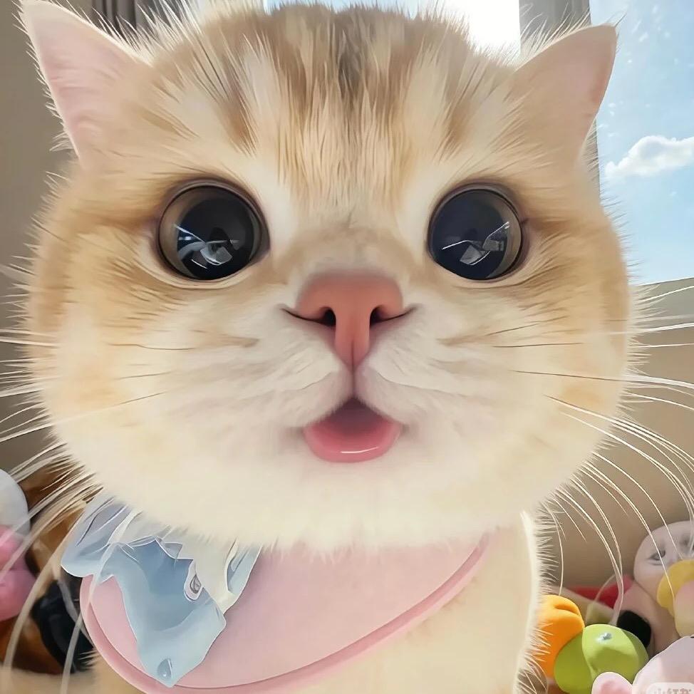 这个是什么
