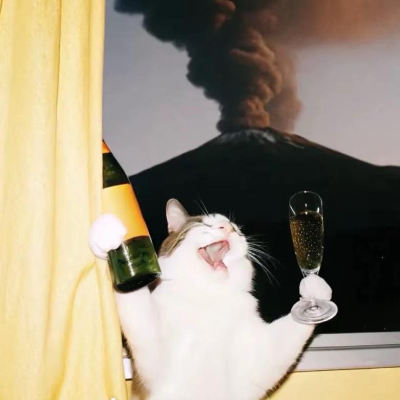 量子猫咪穿越平行宇宙深夜代码诗人不眠不休