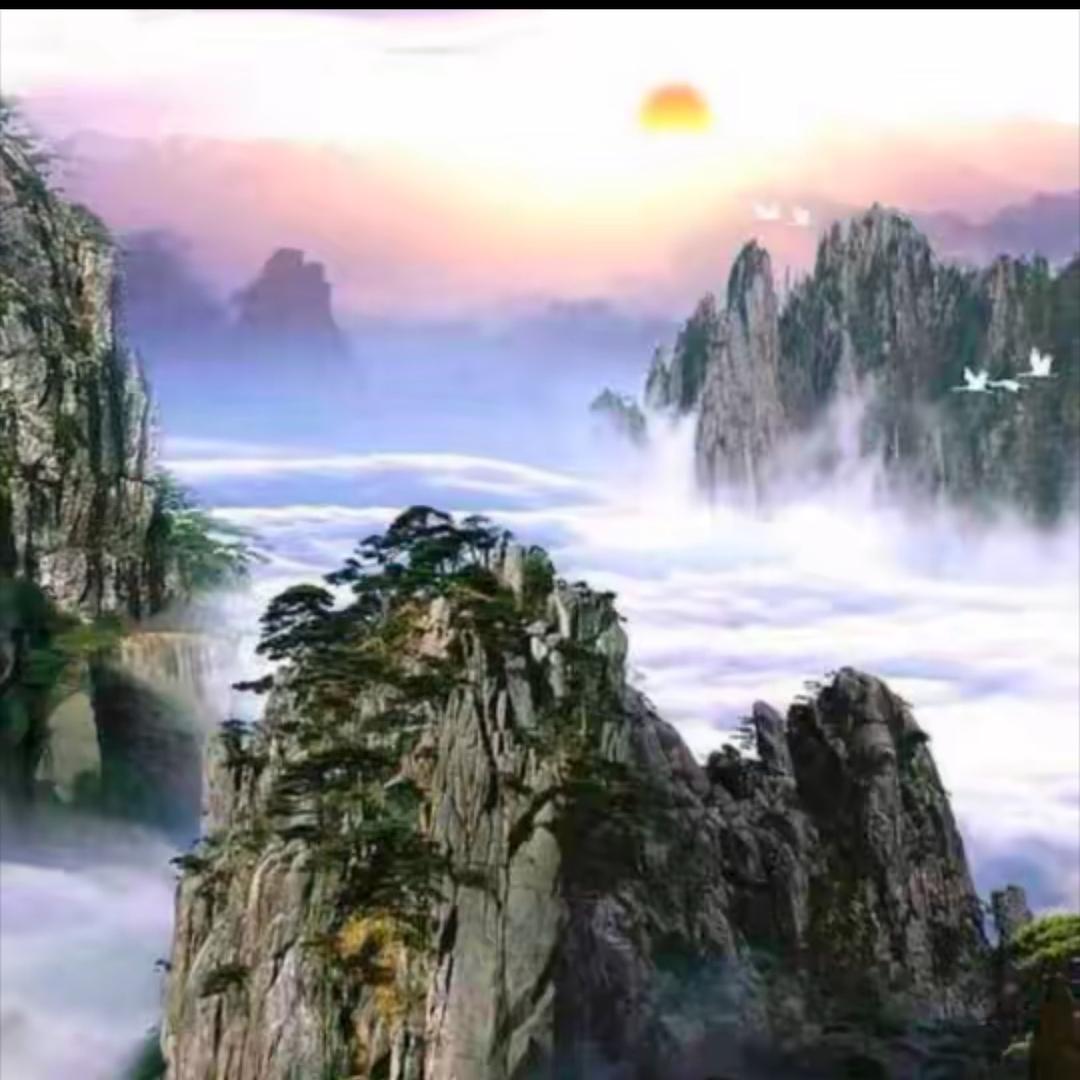 明天会更好