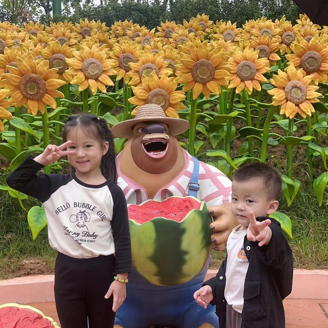 浙江佳荣包股份公司江西佳明包装无纺布袋