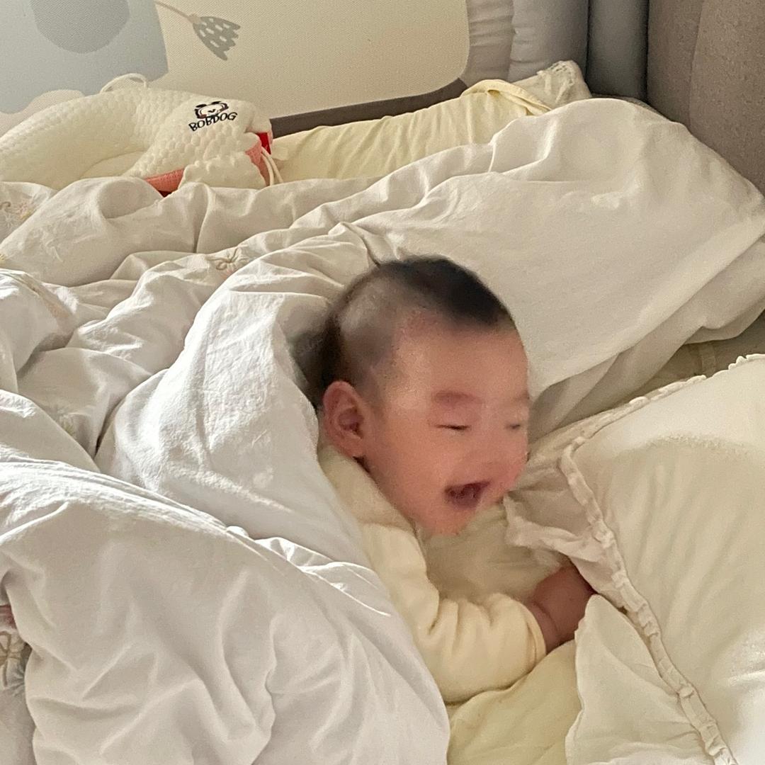 家有小登登