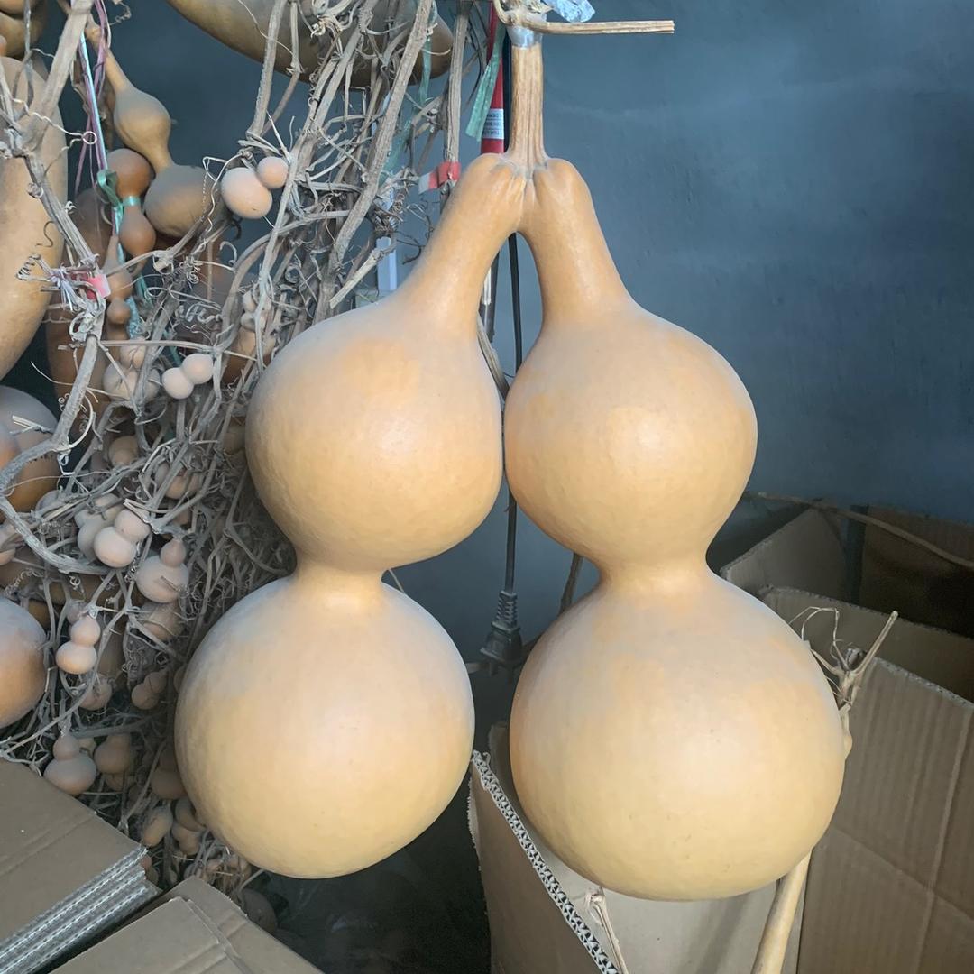 兴堂精品葫芦缘