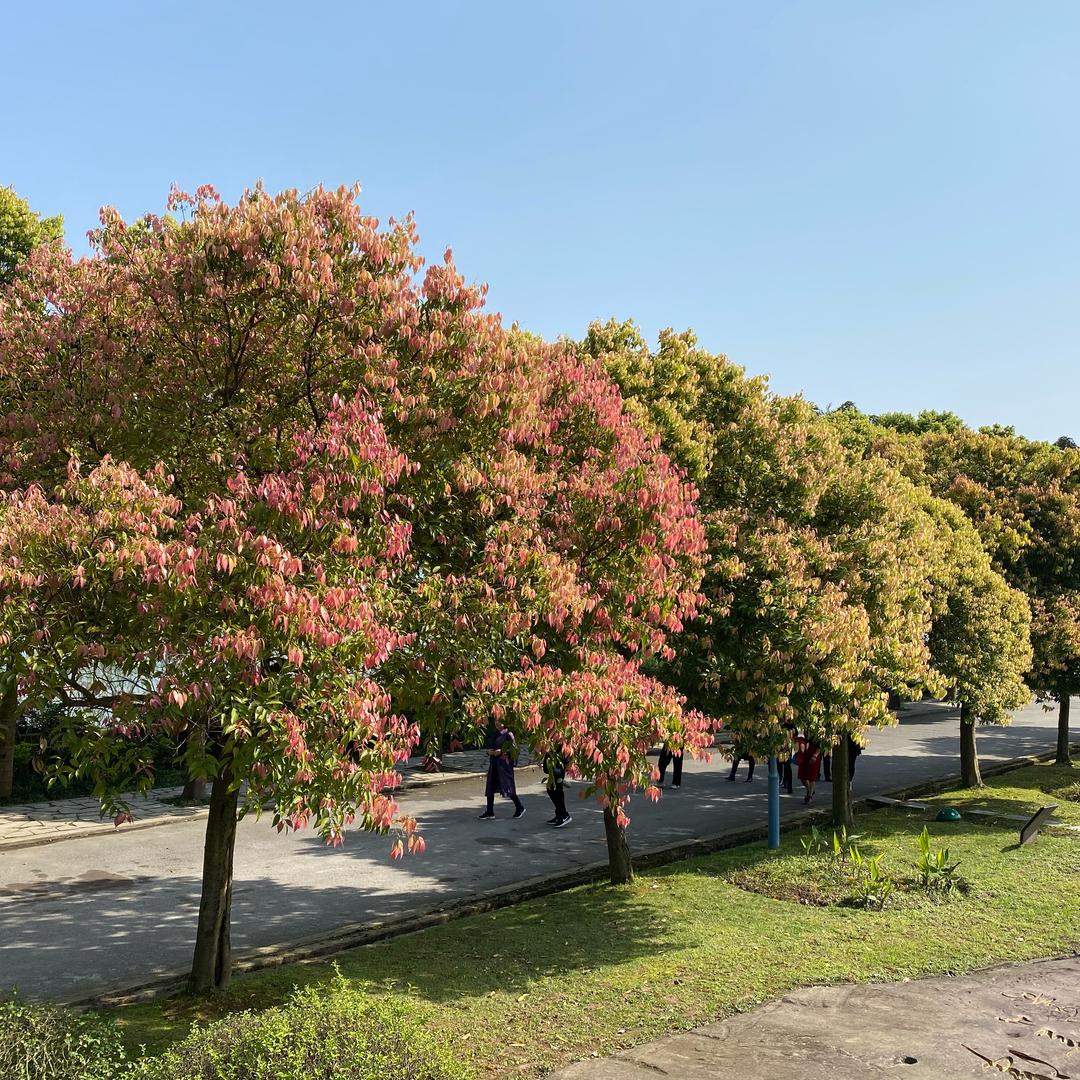 🌈🌈🌈🌈咿呀咿呀哟