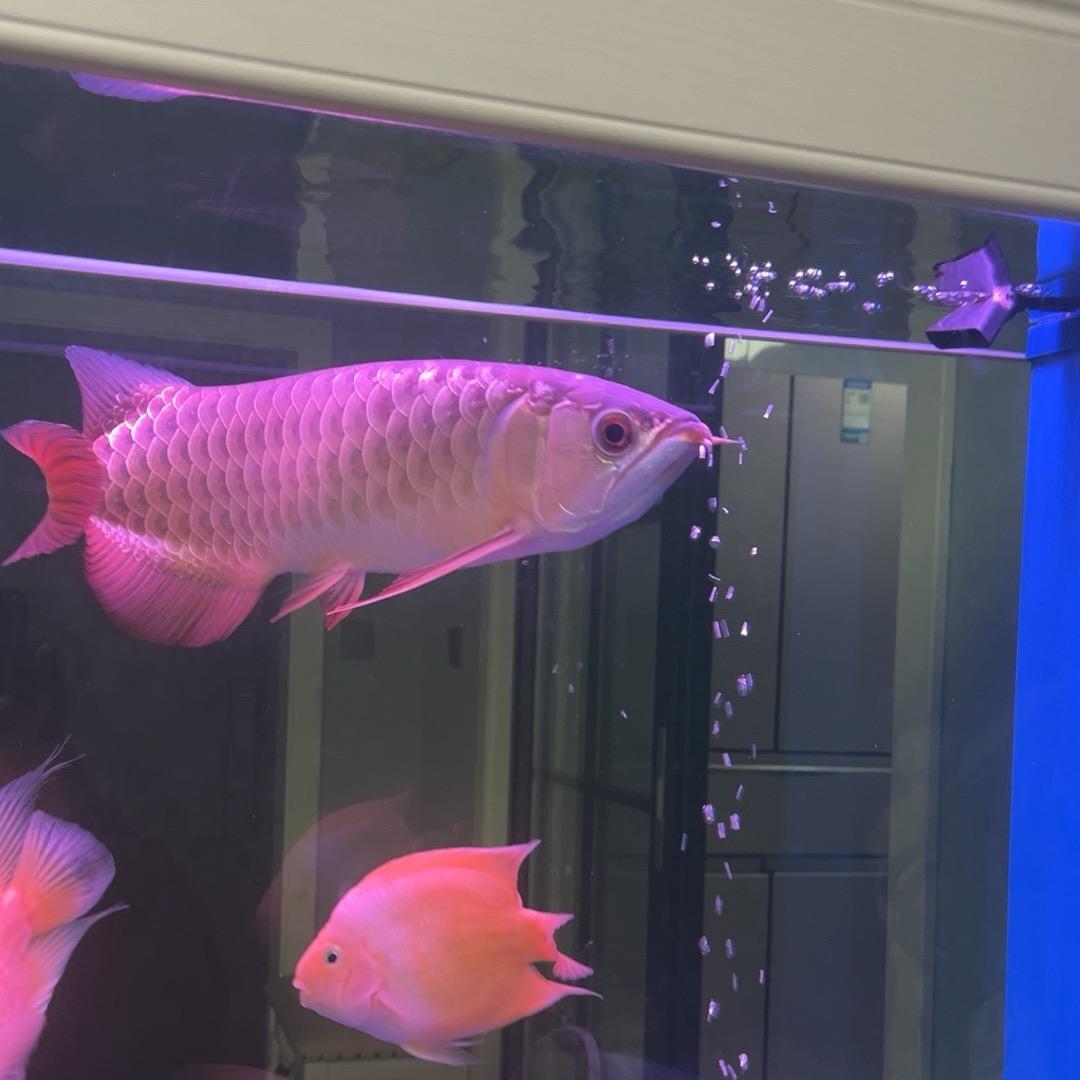 余姚市景程园林绿化场