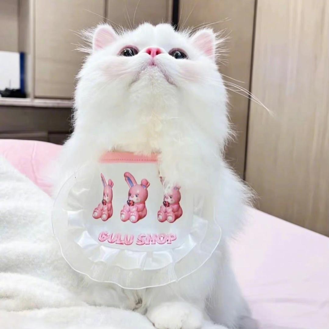 让我冬个眠^