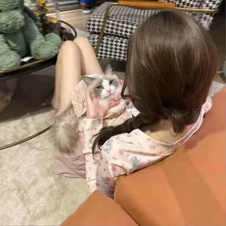 玉子酱