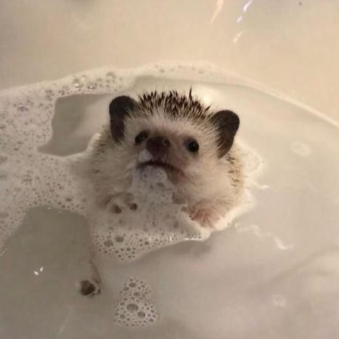 别和奇怪的我说话。