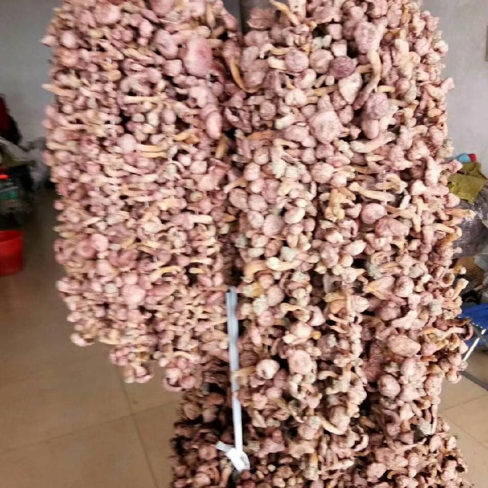 彩文蘑菇土特产