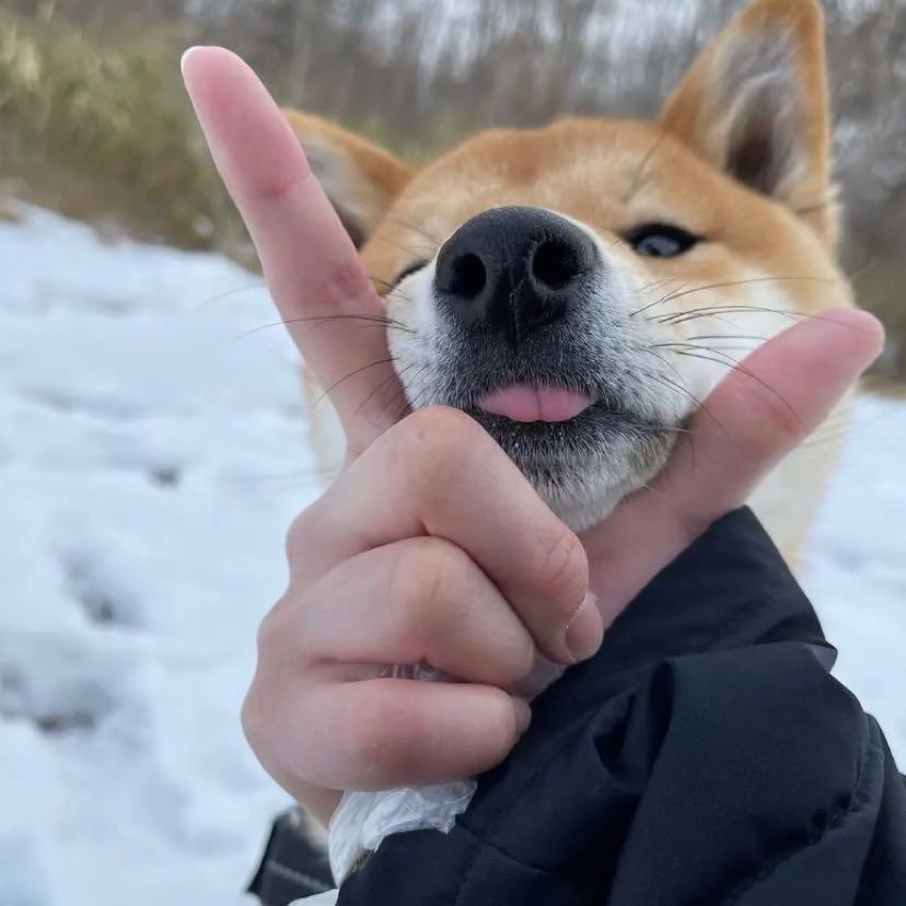 清纯直男（王者荣耀）