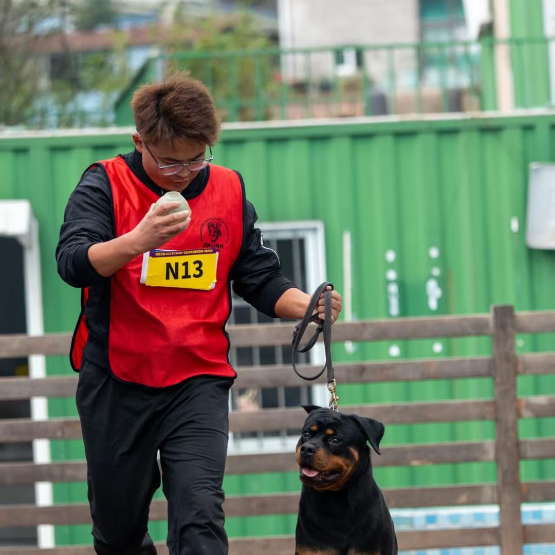 ——小沂南——