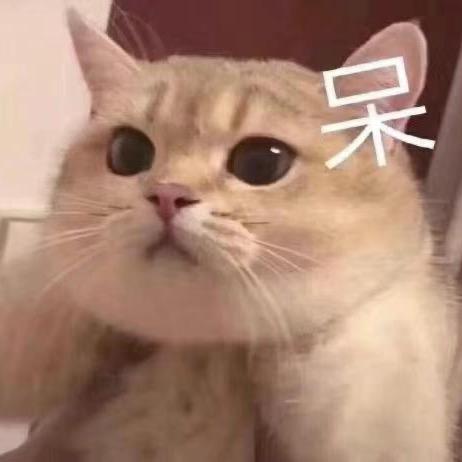 井然: