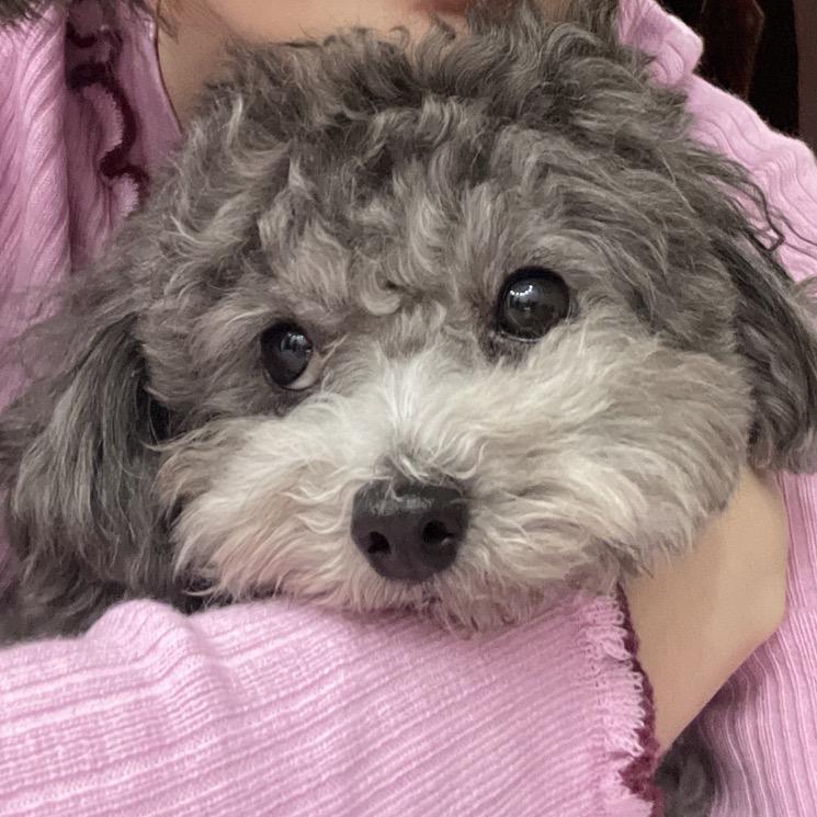 🌈米奇和馒头🍭