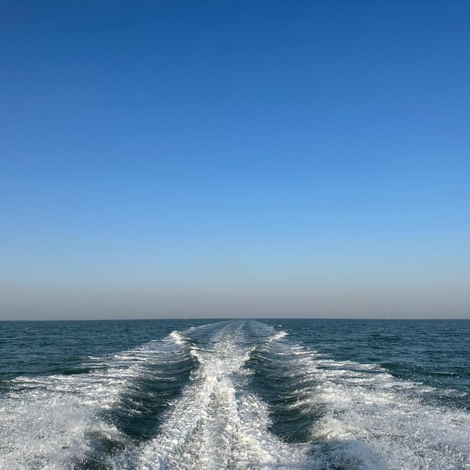 习惯❣ღ💌ღ❣