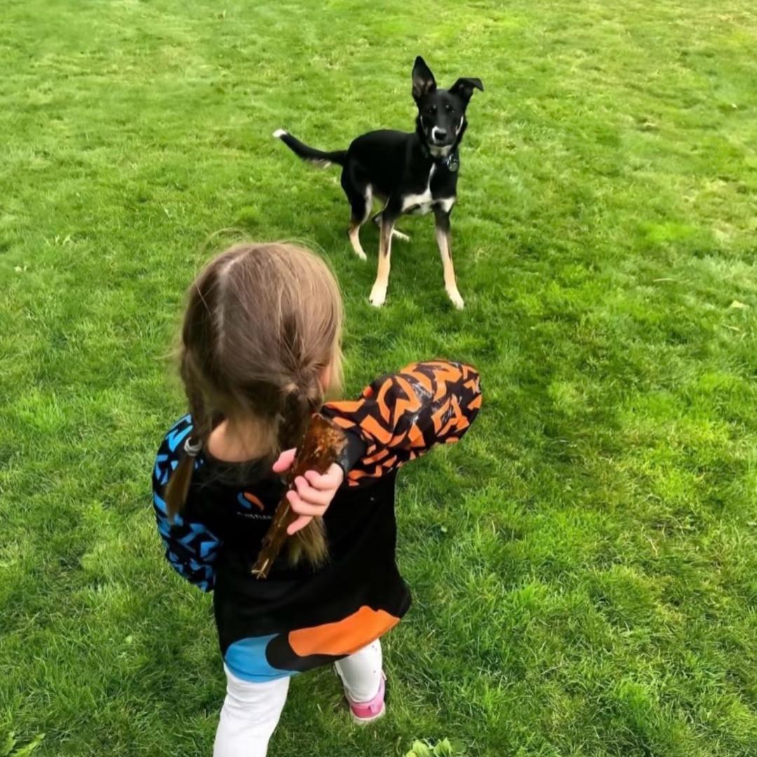 翘睫毛的布偶猫