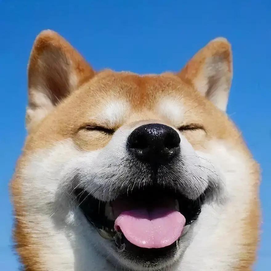 👌李大锤
