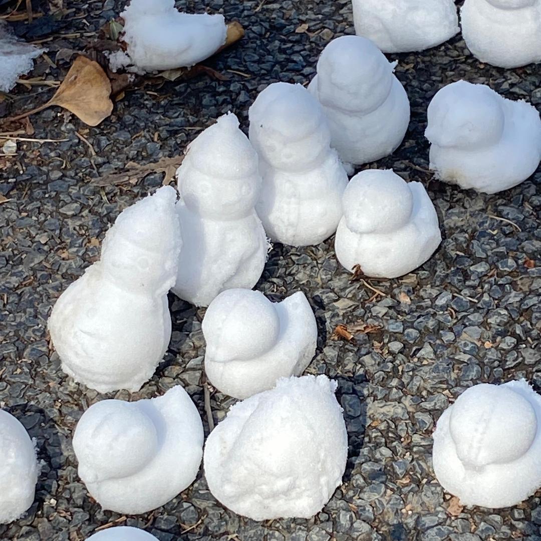 好的，就是你了