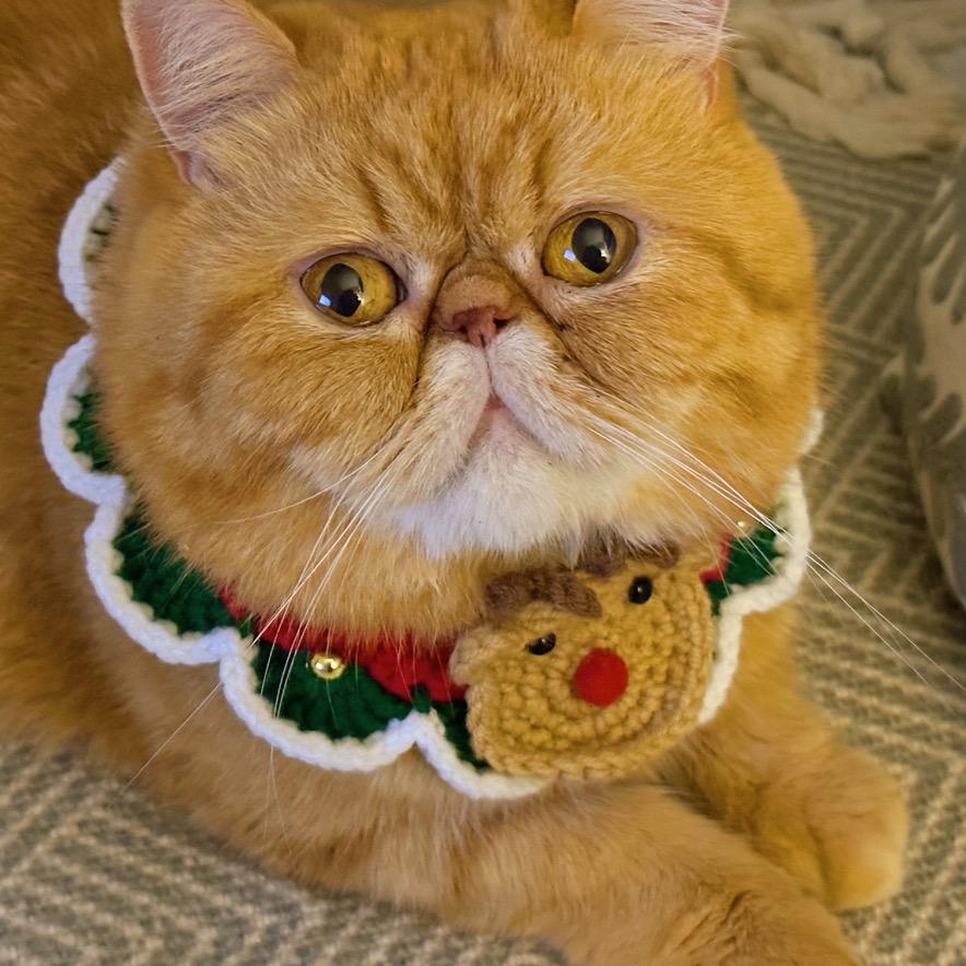 Fluffy