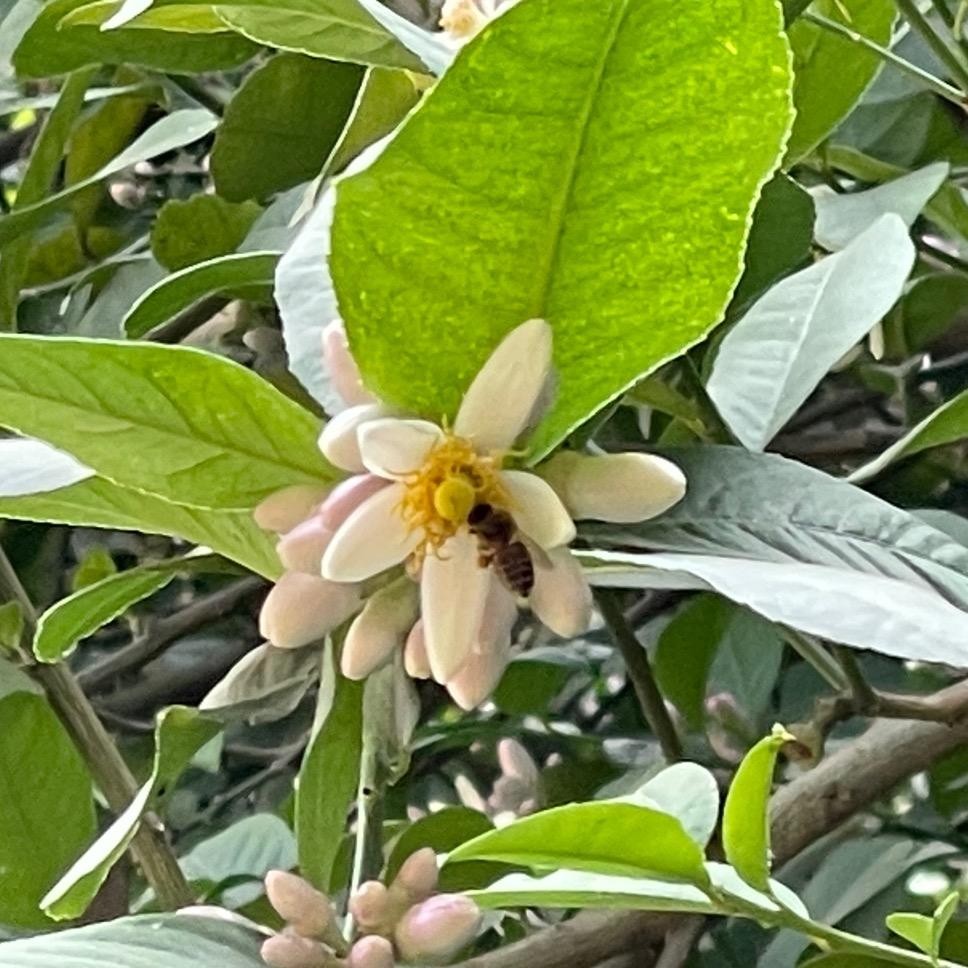 向着阳光