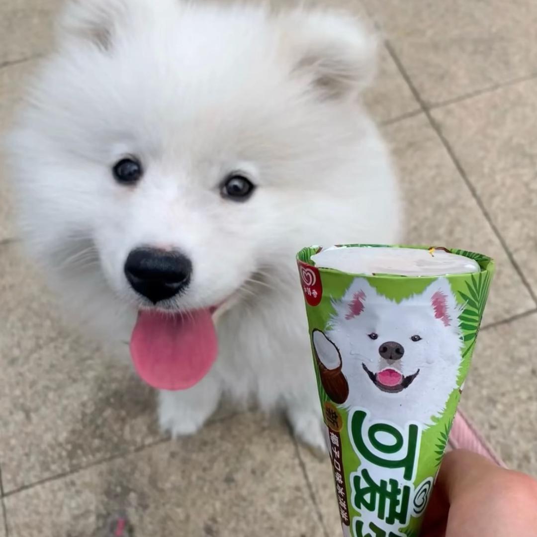 ͏͏ ͏͏͏吃不到葡萄说葡萄酸