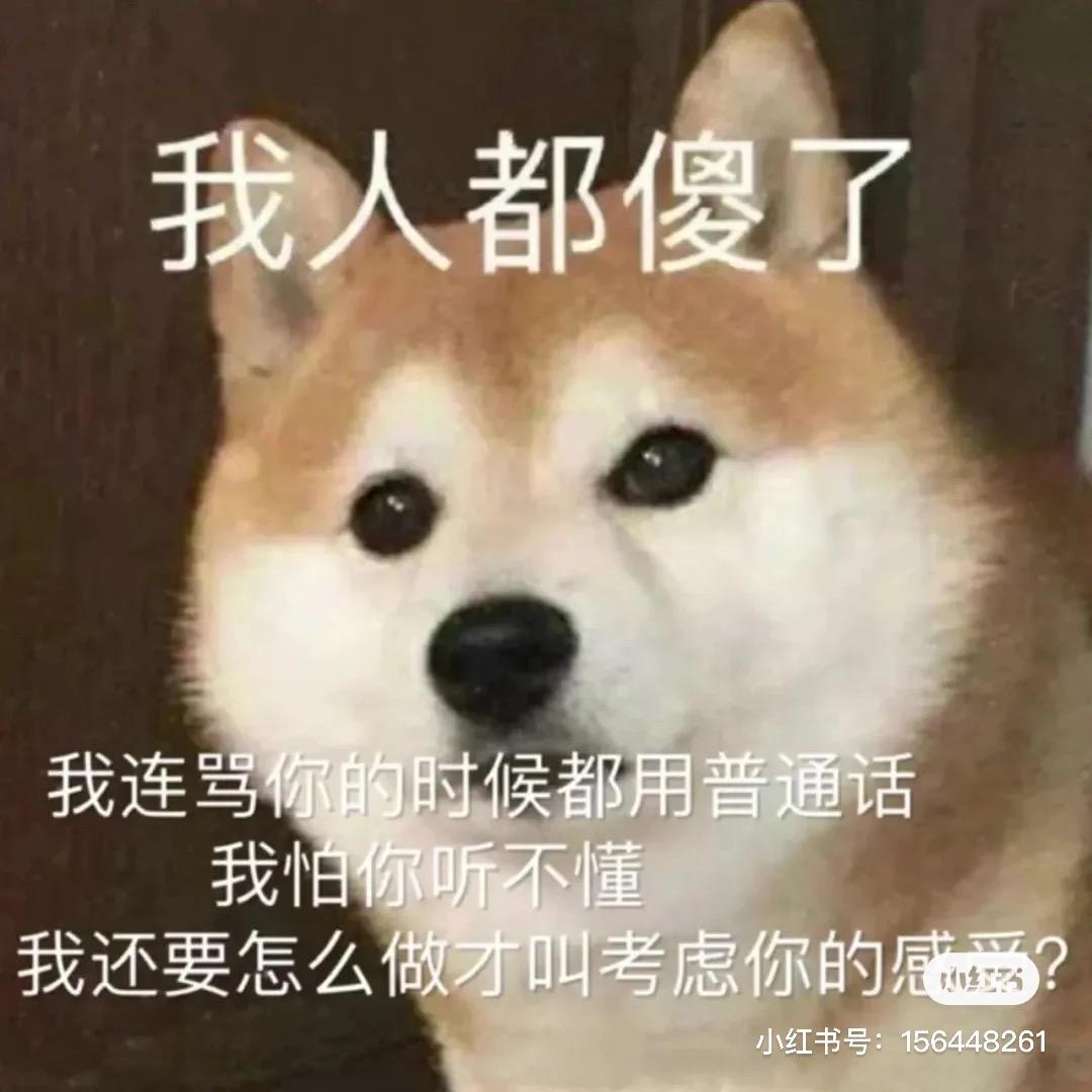 叫我小窝