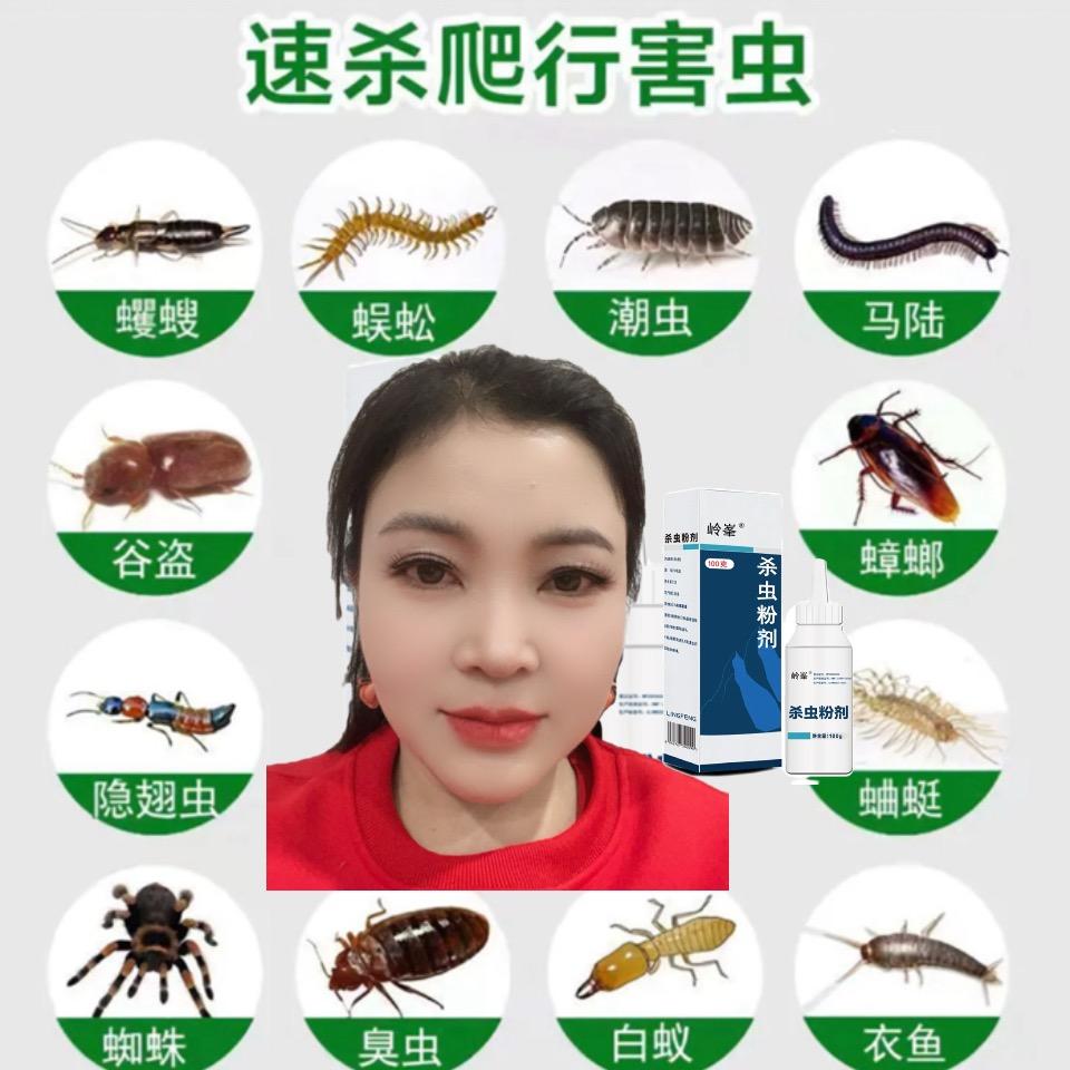 思念，梦蝶百货店（个体工商