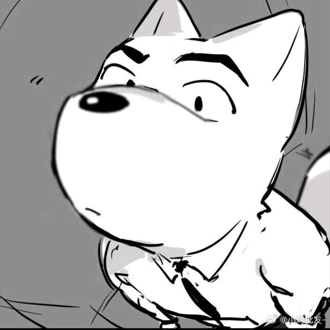 定义域