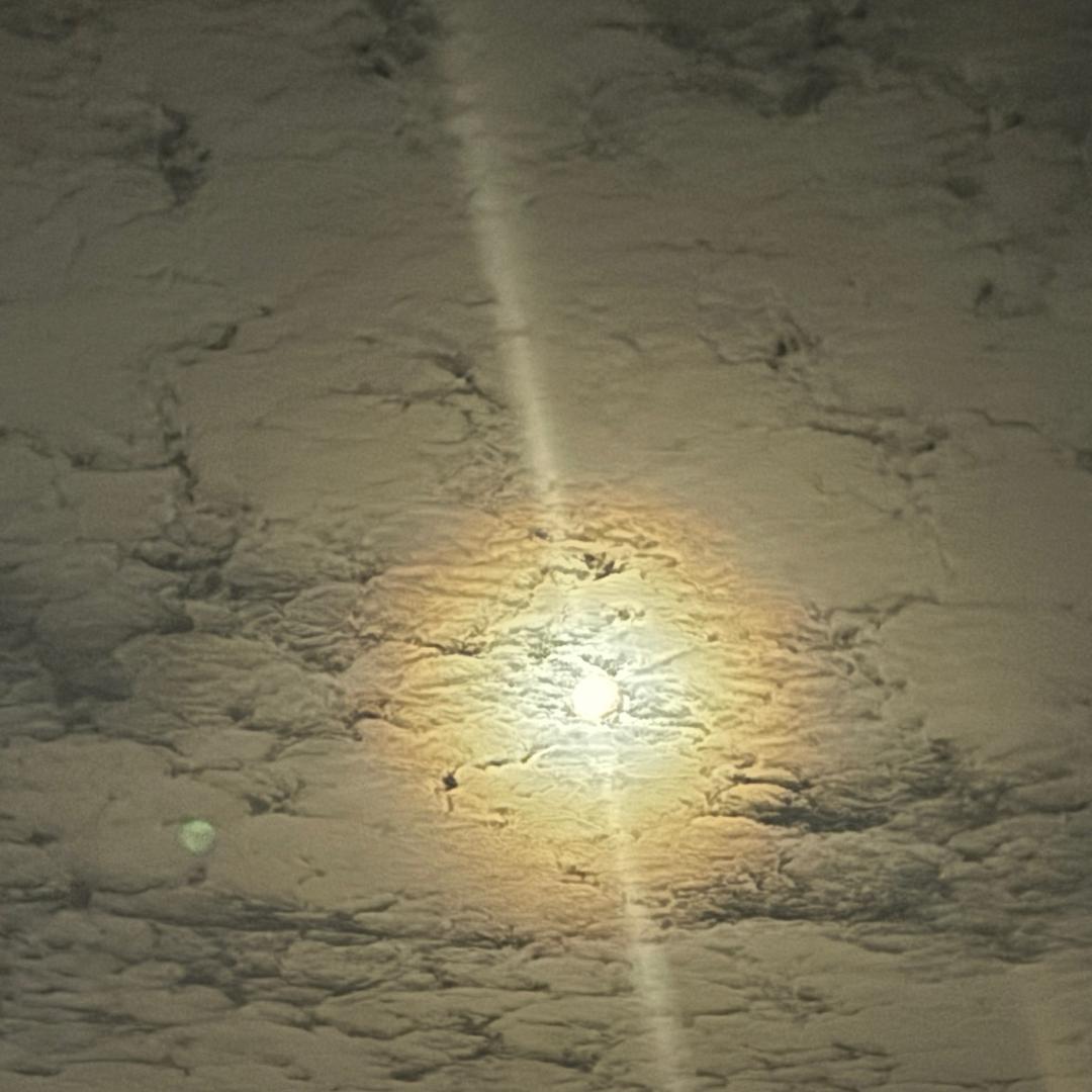 金子～老G