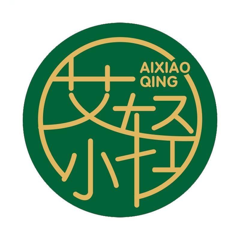 艾小轻·成哥