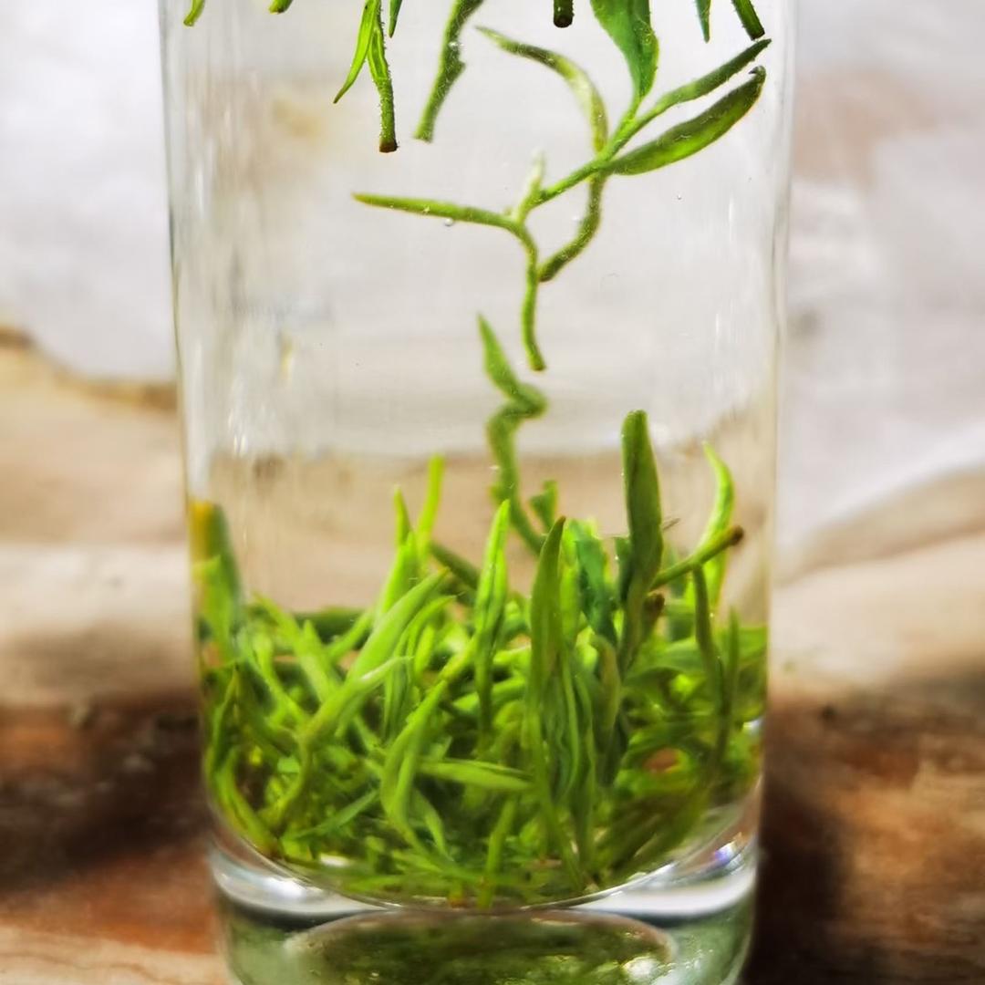 三江好物推荐官