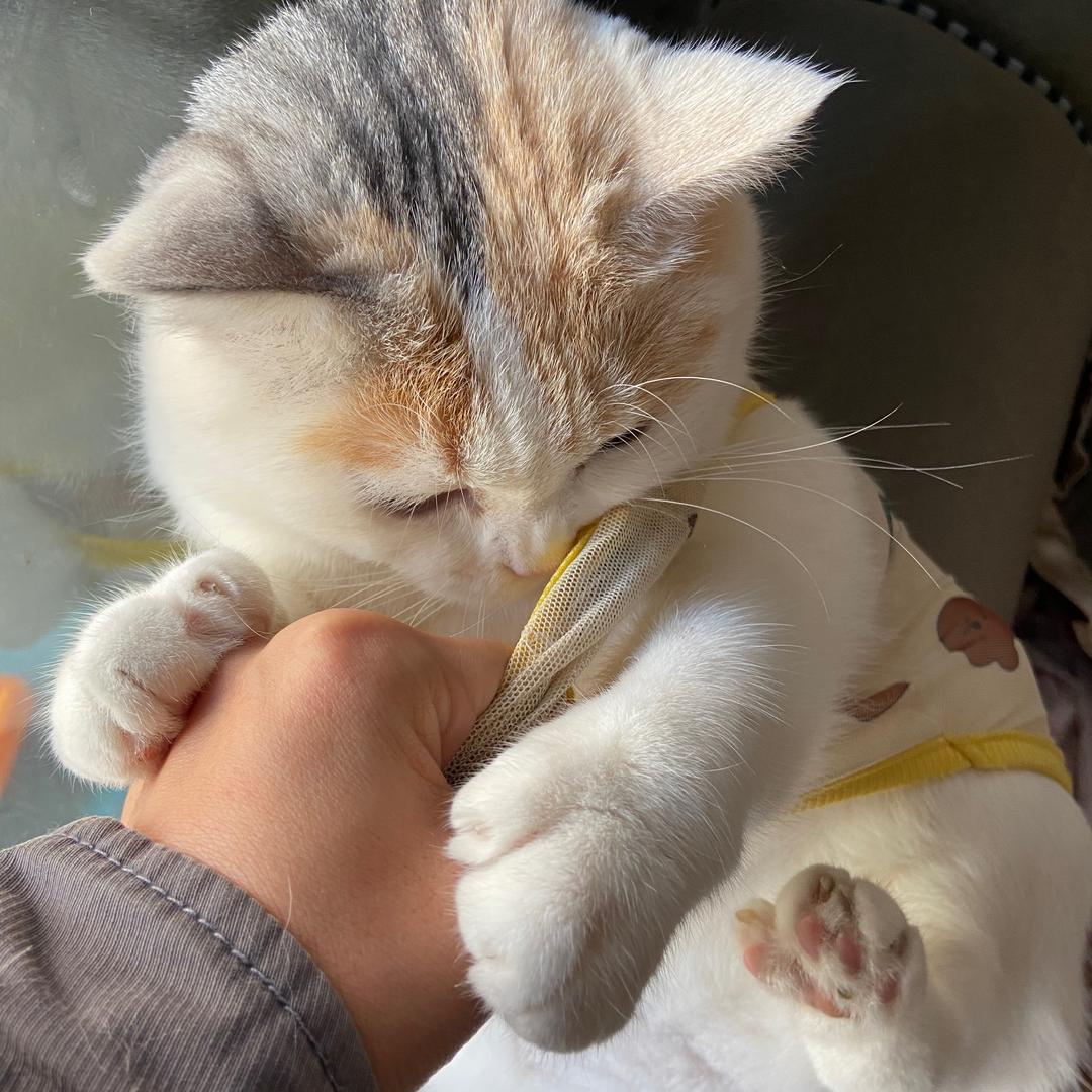 而已