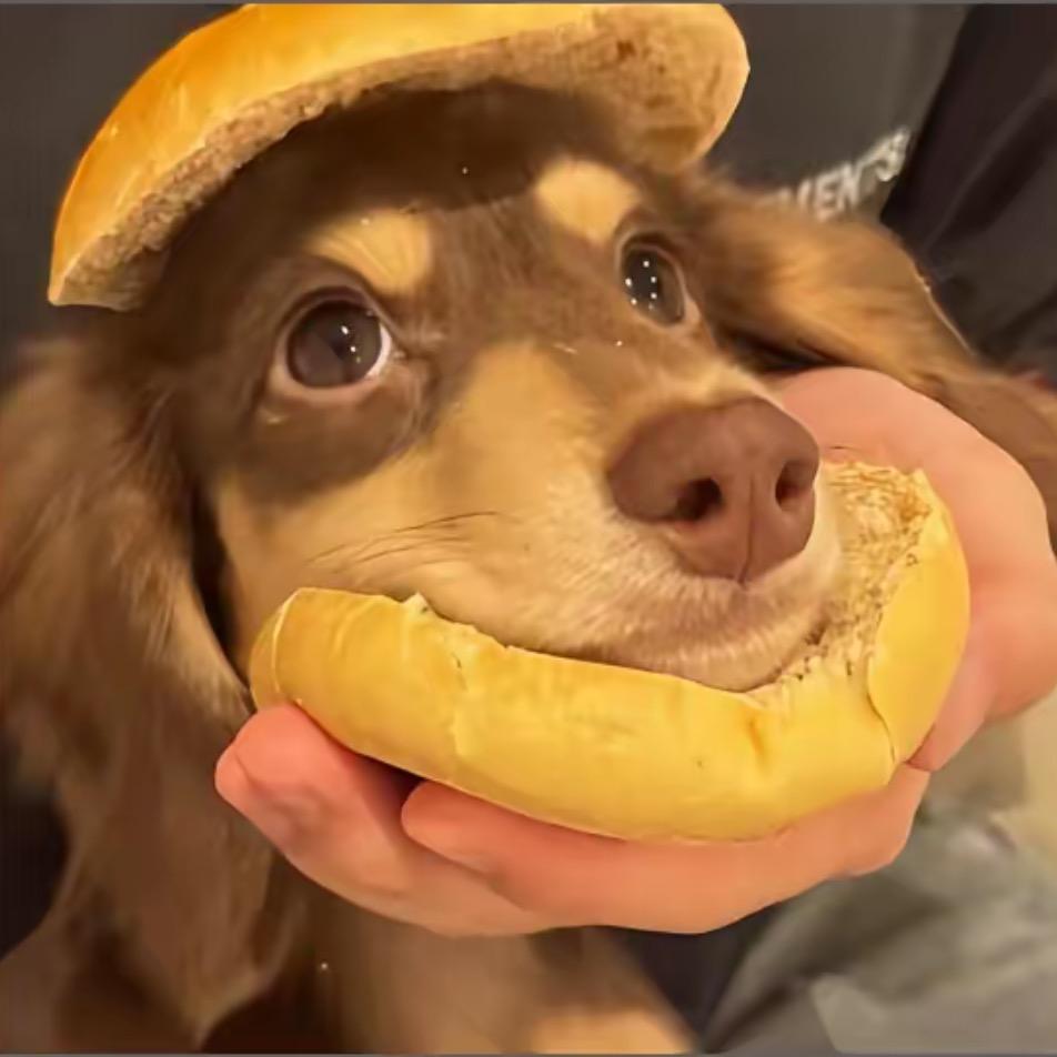 霏🥔