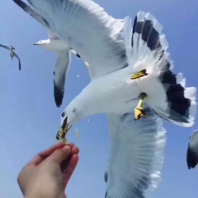 用户一生无悔(^-^)