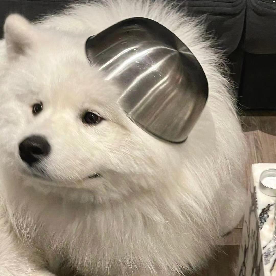 想去看世界